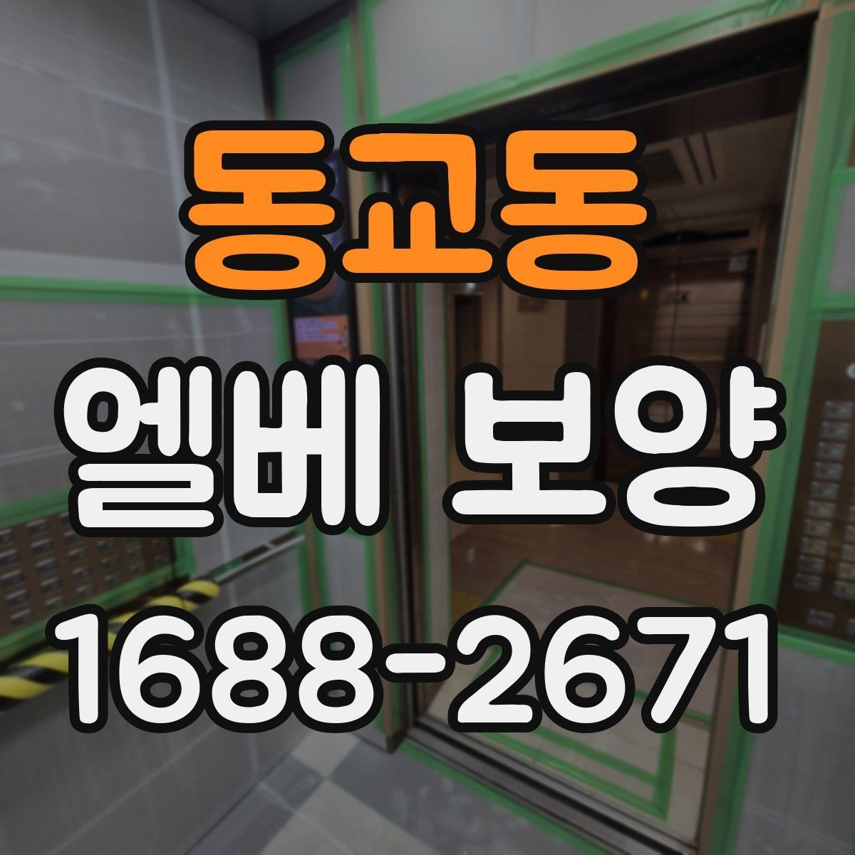 동교동 엘베 보양 장비 반입이 잦을 때 손상 줄이는 대처법
