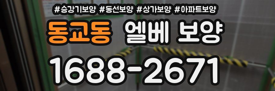 동교동 엘베 보양
