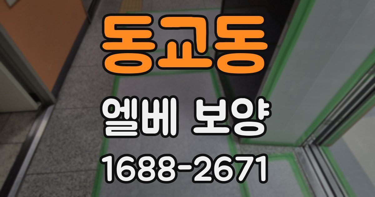 동교동 엘베 보양