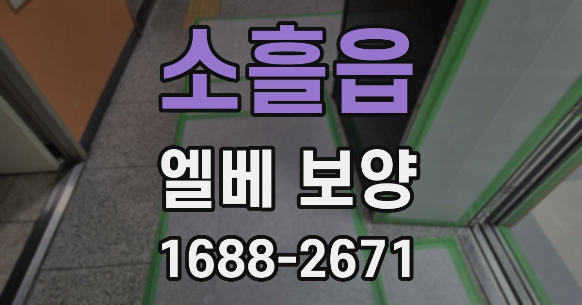 소흘읍 엘베 보양