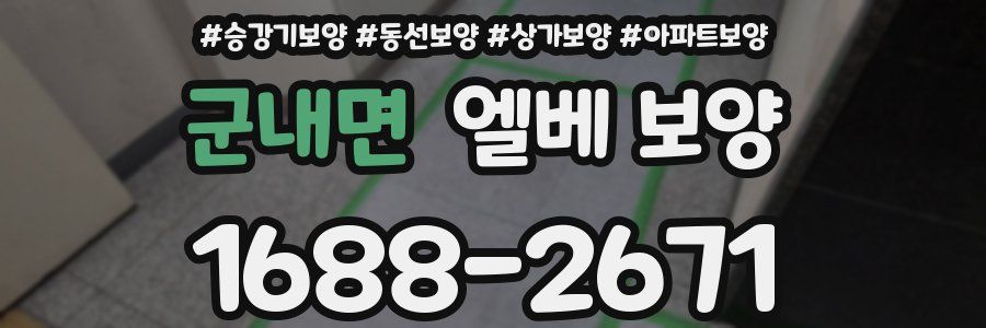 군내면 엘베 보양