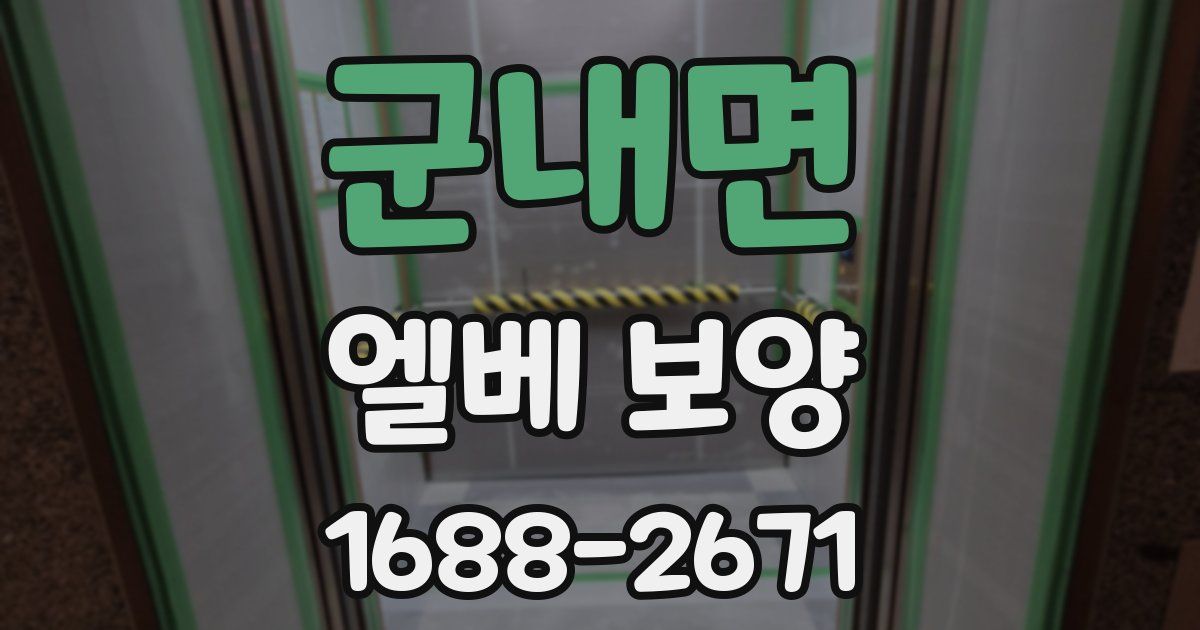 군내면 엘베 보양