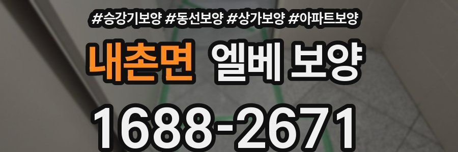 내촌면 엘베 보양