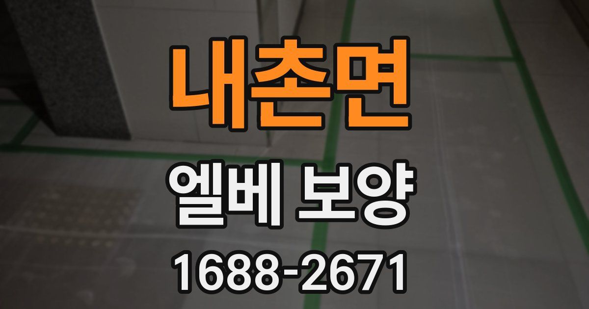 내촌면 엘베 보양