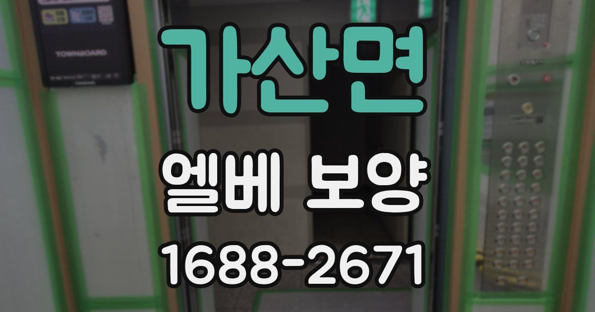 가산면 엘베 보양