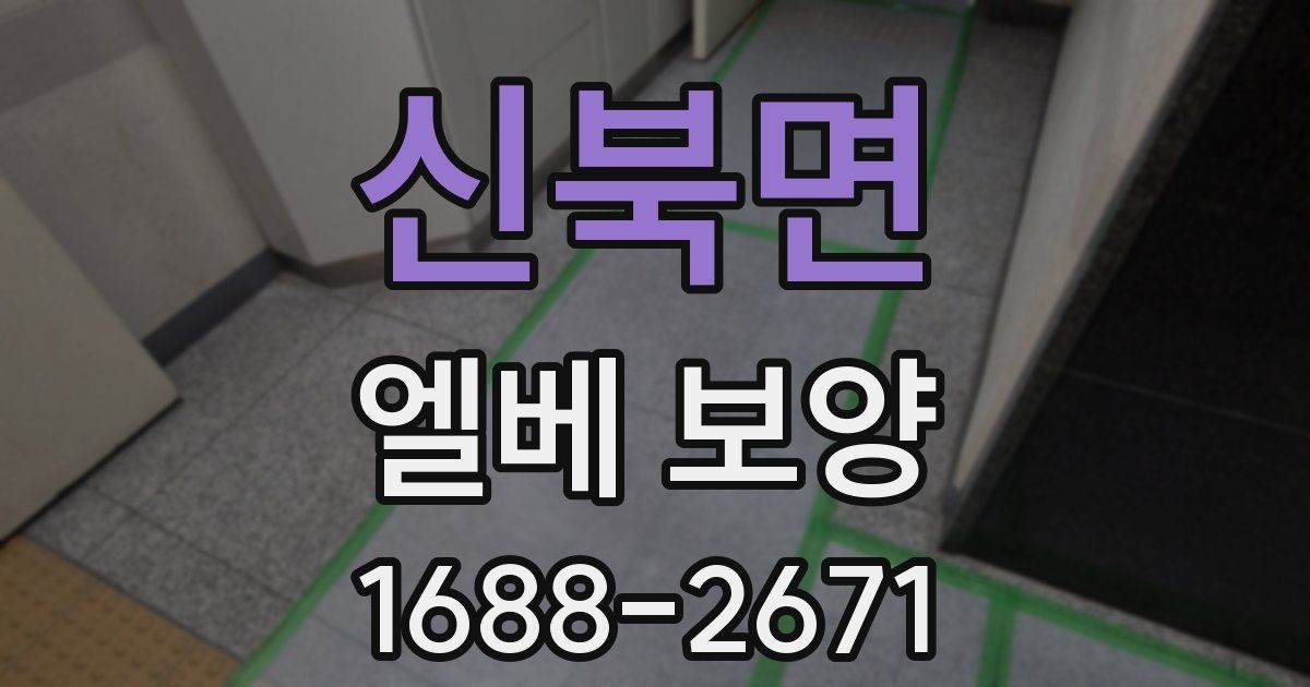 신북면 엘베 보양