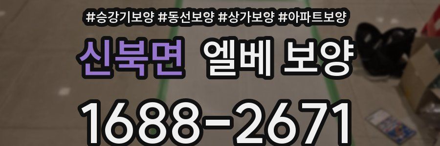 신북면 엘베 보양