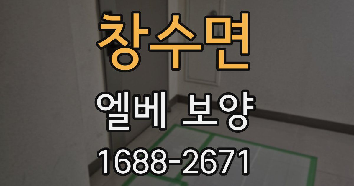 창수면 엘베 보양