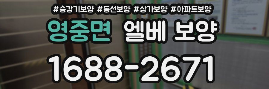 영중면 엘베 보양