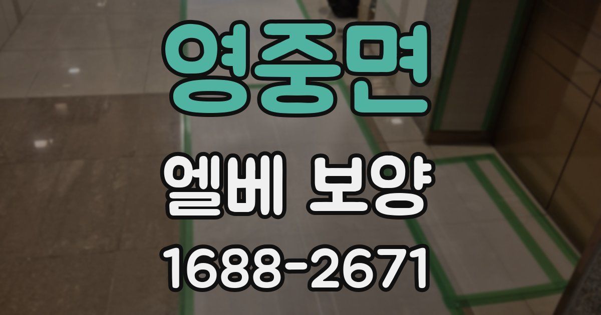 영중면 엘베 보양