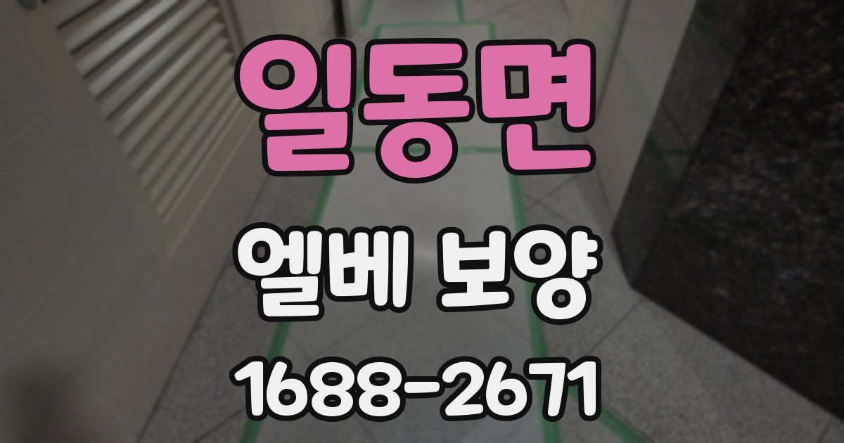 일동면 엘베 보양