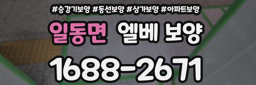 일동면 엘베 보양