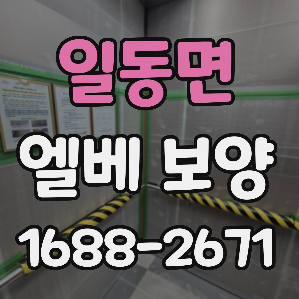 일동면 엘베 보양