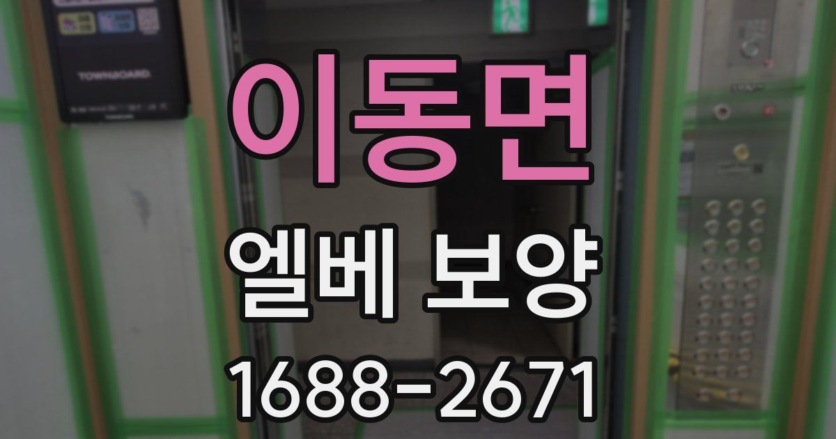 이동면 엘베 보양