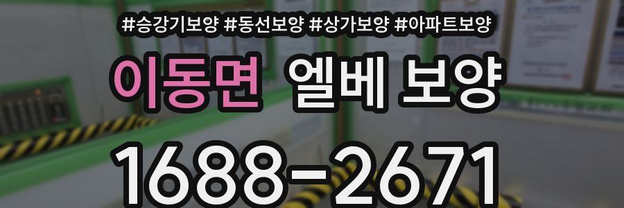 이동면 엘베 보양