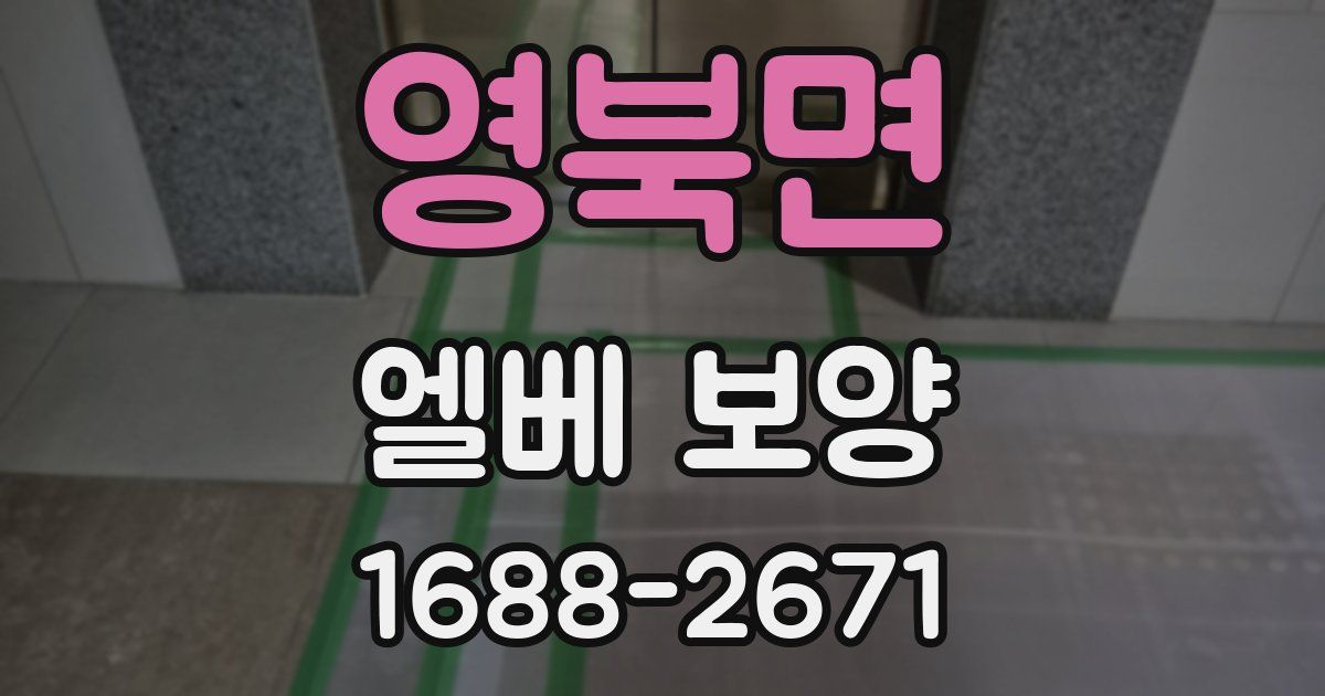 영북면 엘베 보양