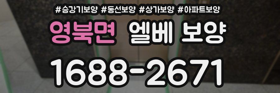 영북면 엘베 보양