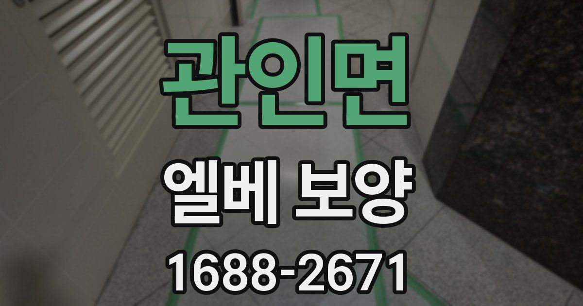 관인면 엘베 보양
