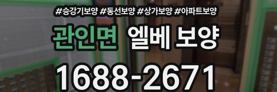 관인면 엘베 보양
