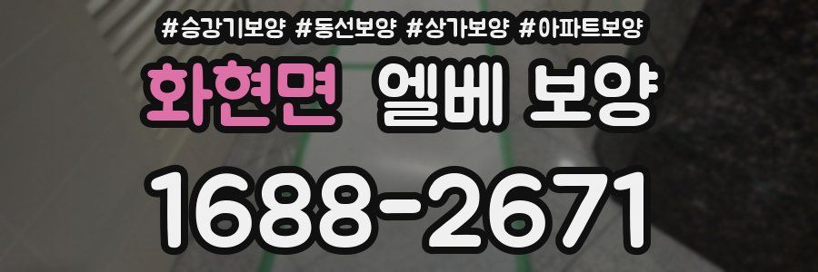 화현면 엘베 보양