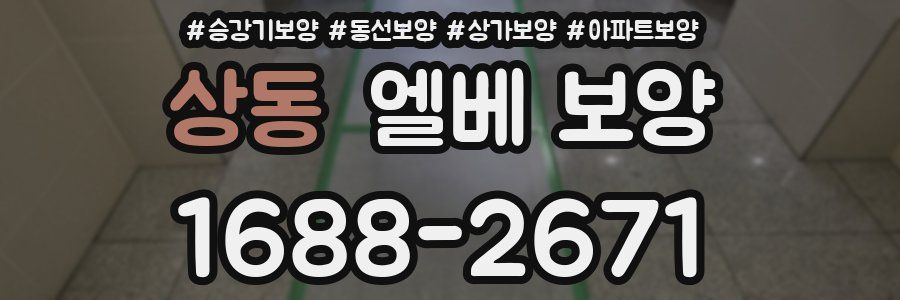 상동 엘베 보양