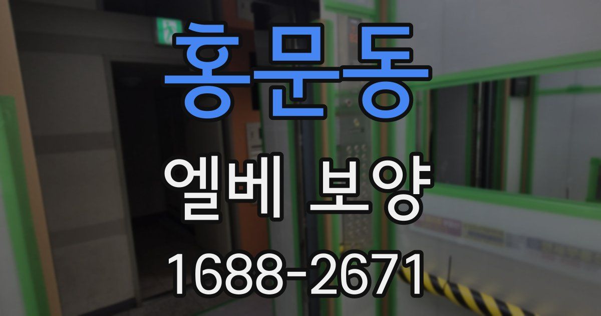 홍문동 엘베 보양