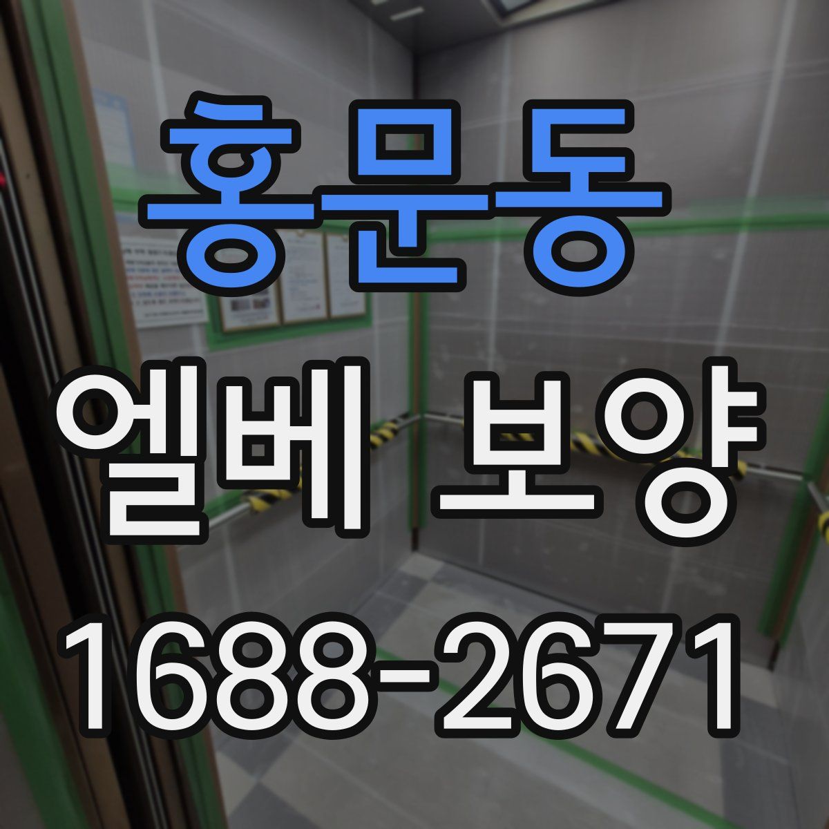 홍문동 엘베 보양