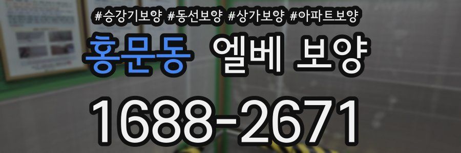 홍문동 엘베 보양