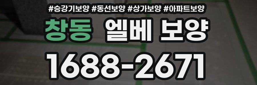 창동 엘베 보양