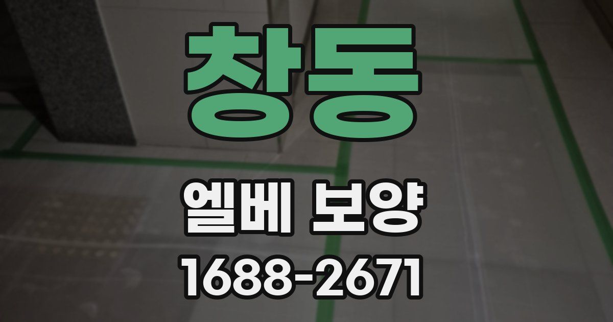 창동 엘베 보양