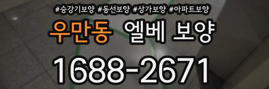 우만동 엘베 보양
