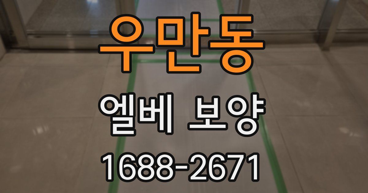 우만동 엘베 보양