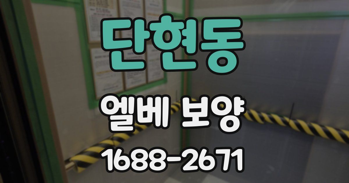 단현동 엘베 보양