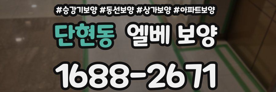 단현동 엘베 보양
