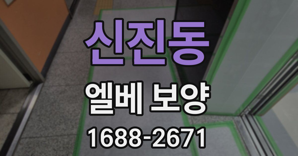 신진동 엘베 보양