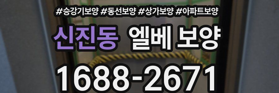신진동 엘베 보양