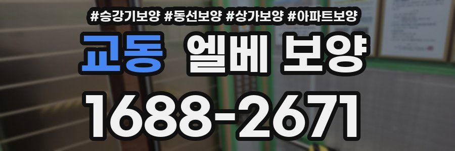 교동 엘베 보양