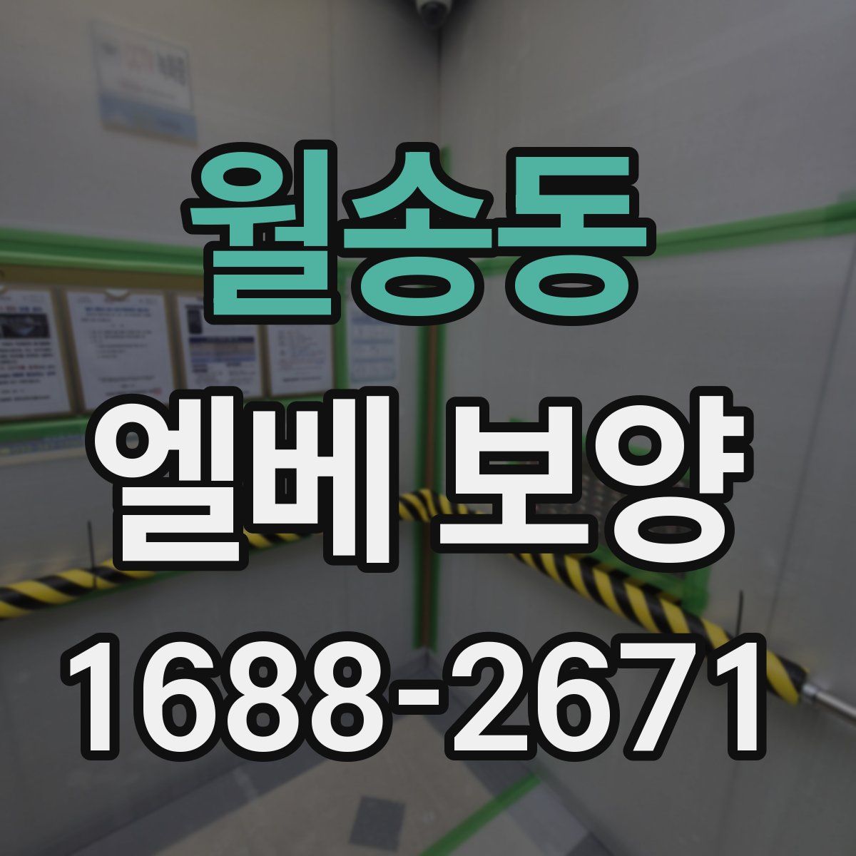 월송동 엘베 보양