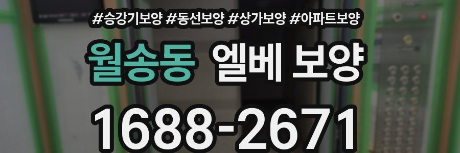 월송동 엘베 보양