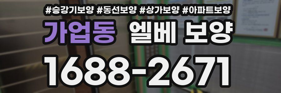 가업동 엘베 보양