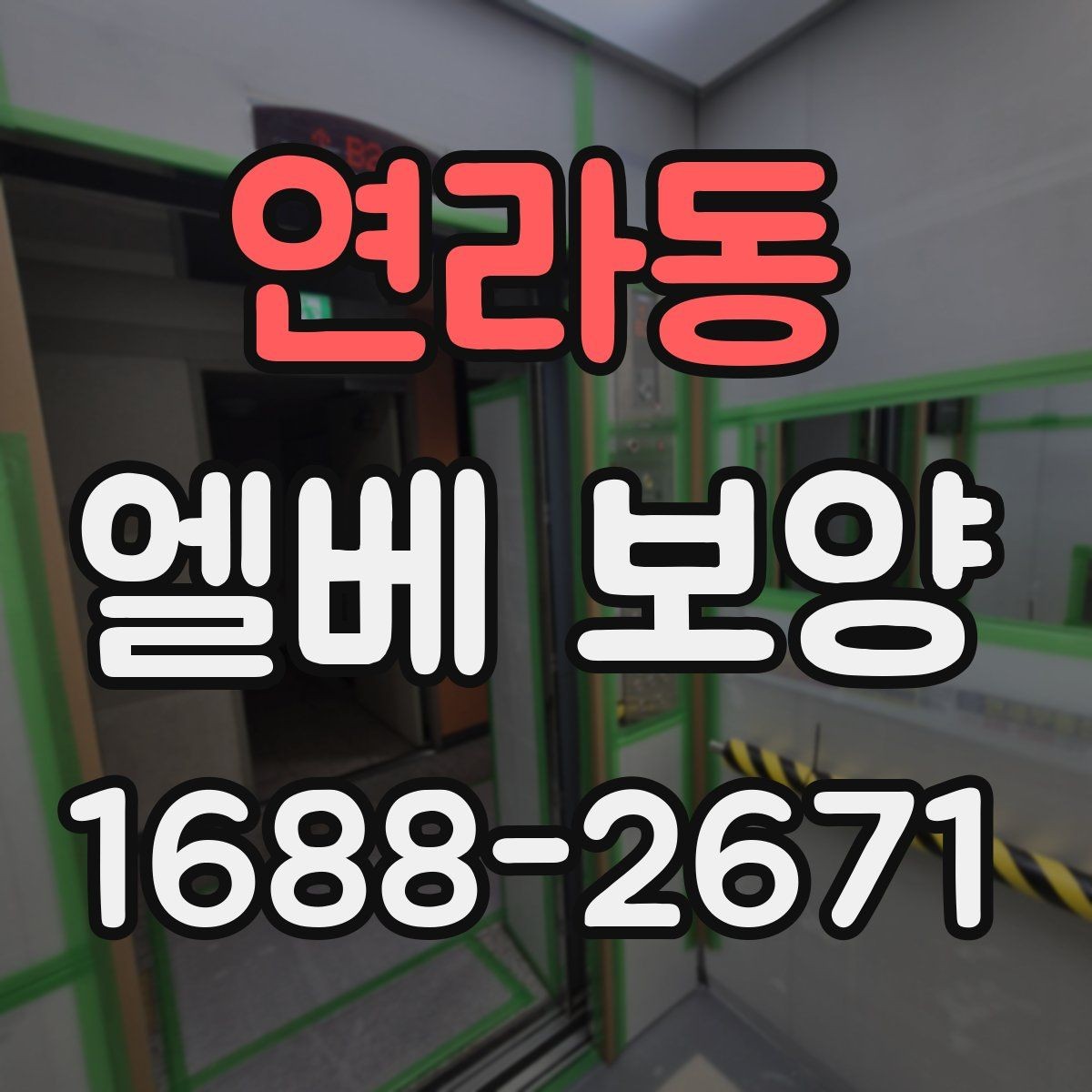 연라동 엘베 보양 바닥 오염 예방을 먼저 점검해야 하는 이유