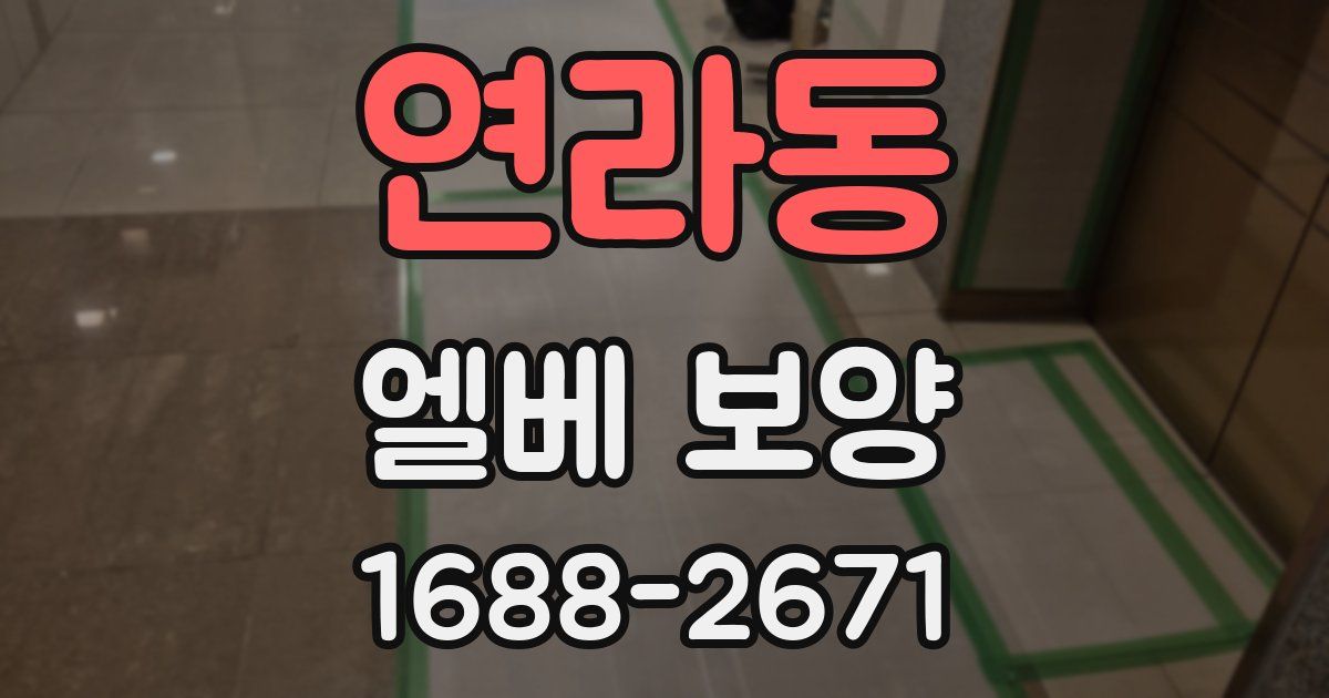 연라동 엘베 보양