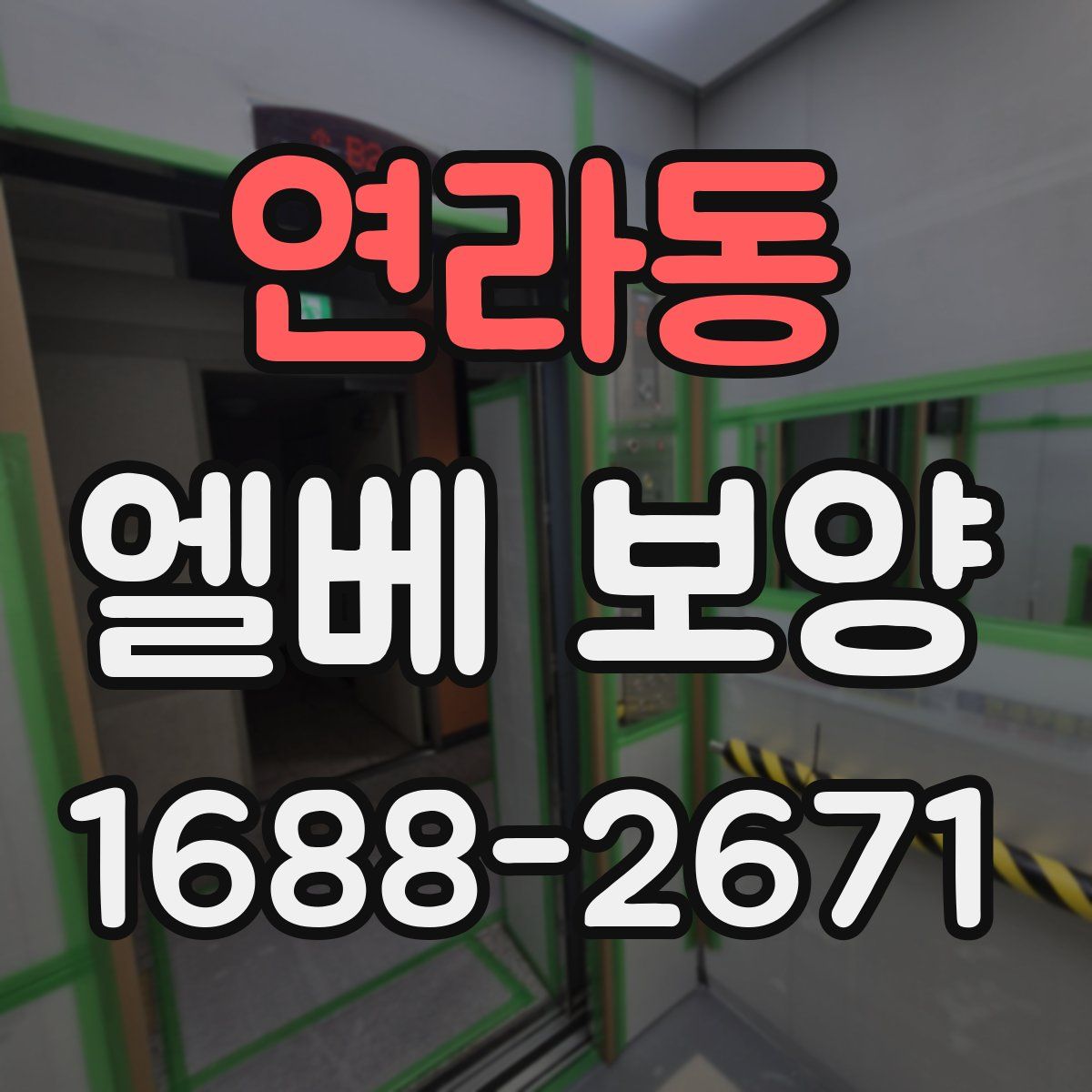 연라동 엘베 보양