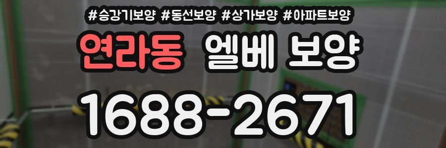연라동 엘베 보양