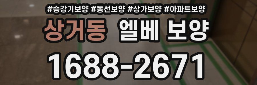 상거동 엘베 보양