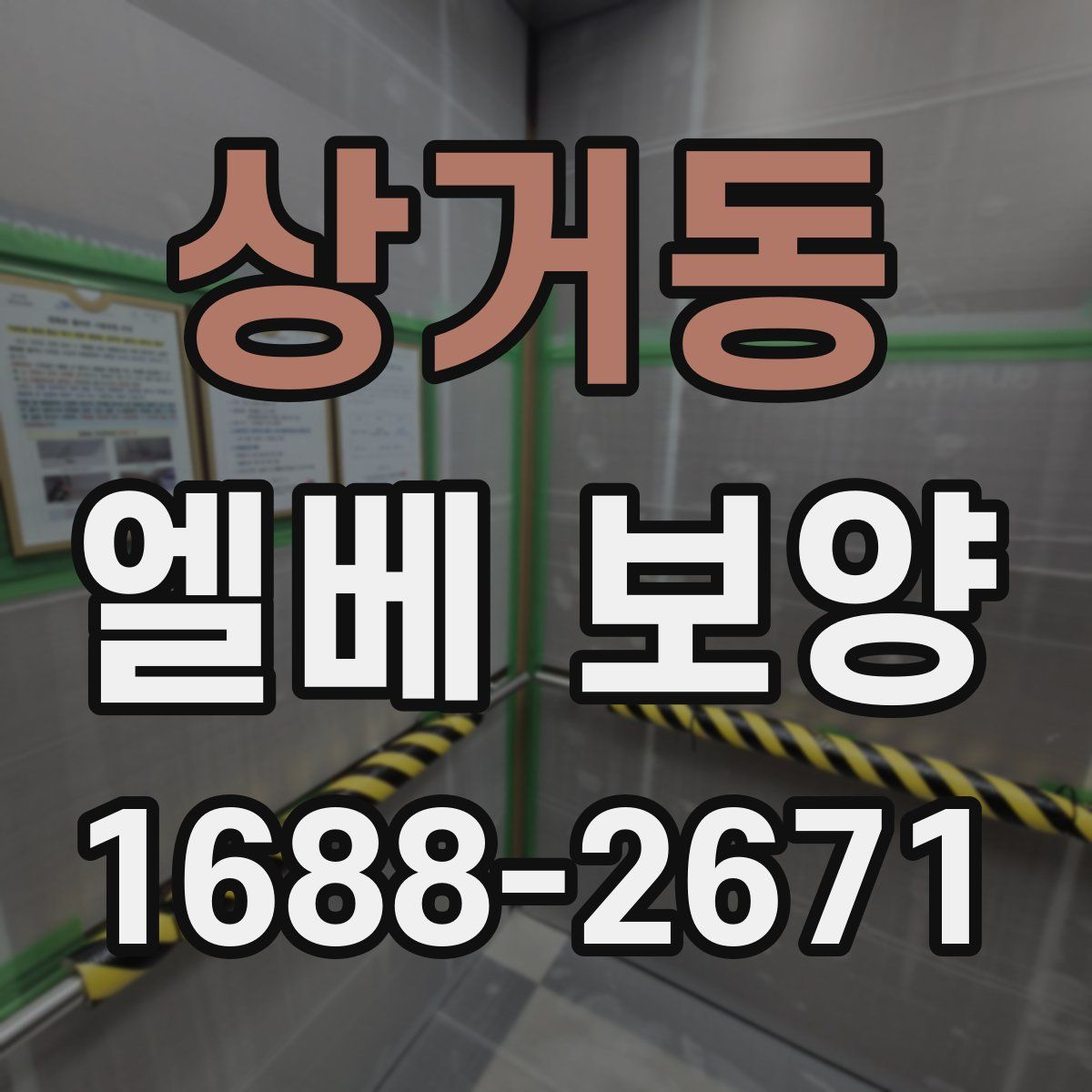 상거동 엘베 보양