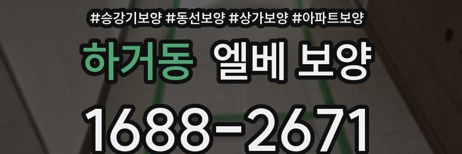 하거동 엘베 보양