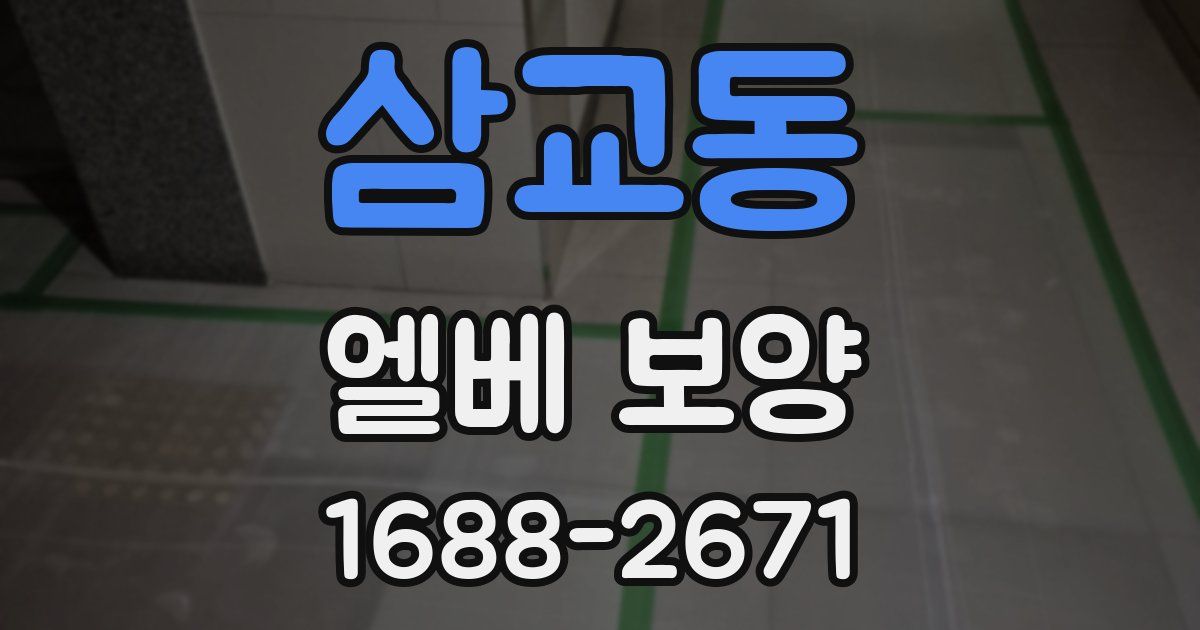 삼교동 엘베 보양