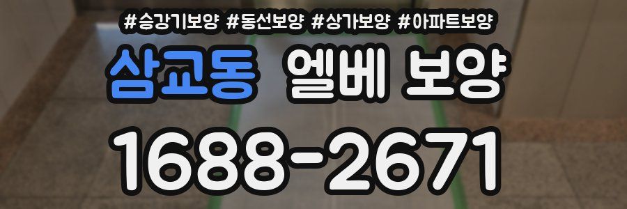 삼교동 엘베 보양