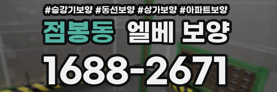 점봉동 엘베 보양